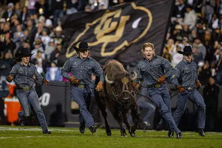 Ralphie running 2nd half vs OSU 2023