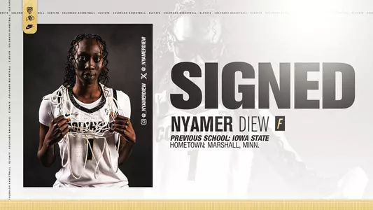 Nyamer Diew