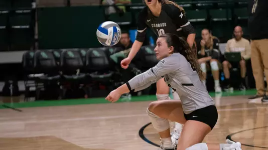 Sarah Morton Dig