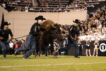 Ralphie running vs NDSU 2024