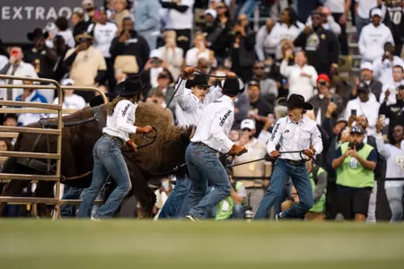 Ralphie Running vs Baylor 2024