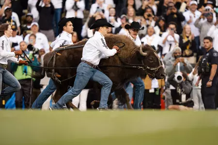 Ralphie Running vs Baylor 2024