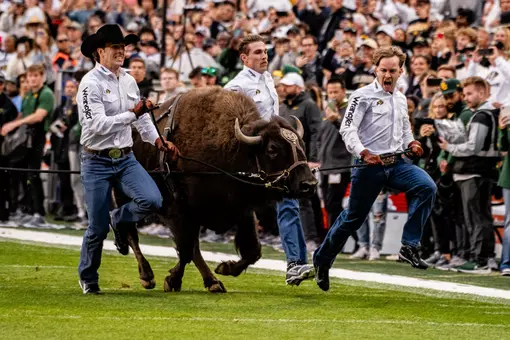 Ralphie Running vs Baylor 2024