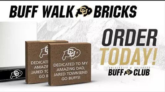 Buff Walk Bricks