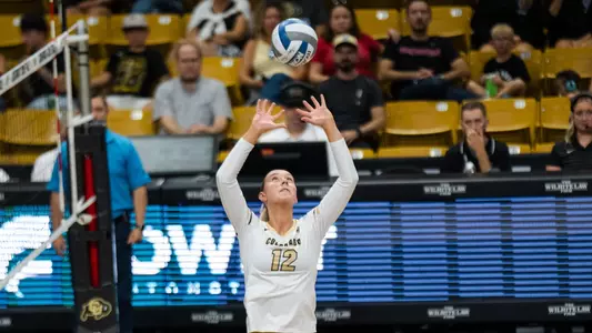 Buffs Fall to Huskies in Five Image