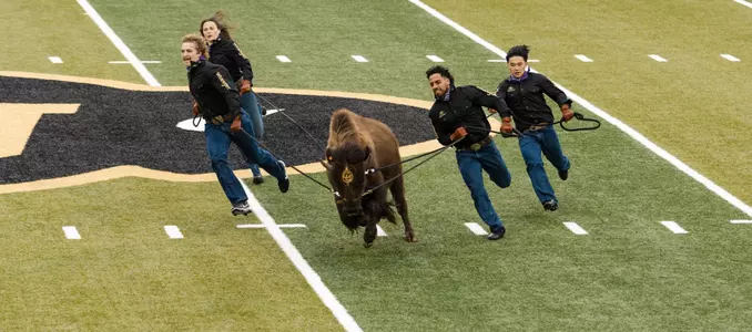 Ralphie VII vs Iowa State