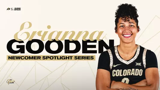 Erianna Gooden Website Graphic
