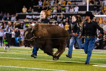 Ralphie VII vs BYU