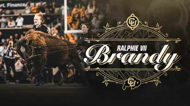 Brandy Graphic