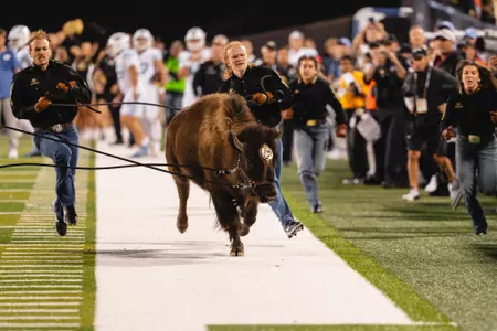 Ralphie VII vs BYU