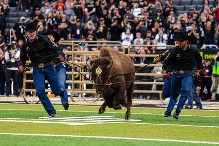 Ralphie vs IowaState 1st half 2025