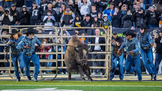 Ralphie ASU25 1st Half