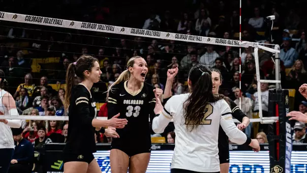 Cayla Payne Celly 2025