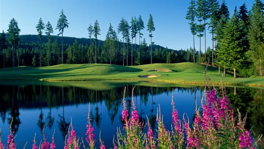 Hole #16, Par 3
