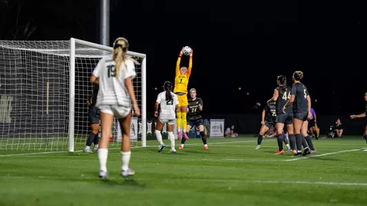 Jordan Nytes save vs Michigan State