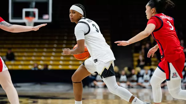 Desiree Wooten vs. Arizona