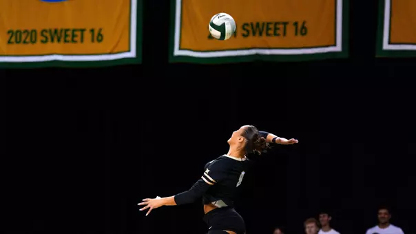 VB at Baylor