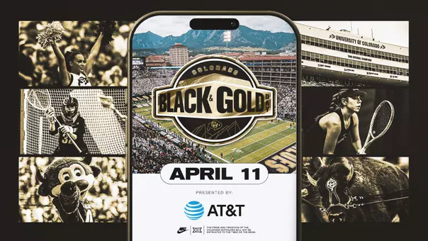 Black & Gold Day Web Graphic