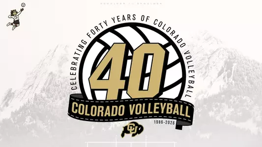 40th Anniversary VB
