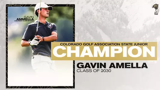 gavin amella state junior