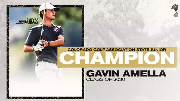 gavin amella state junior