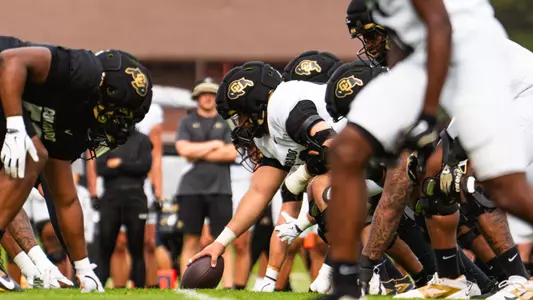 Offensive Line