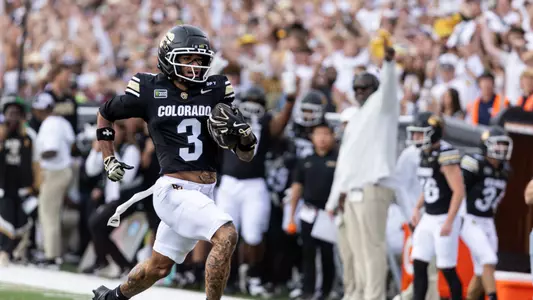 TD Catch