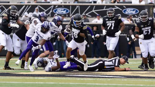 Touchdown Catch
