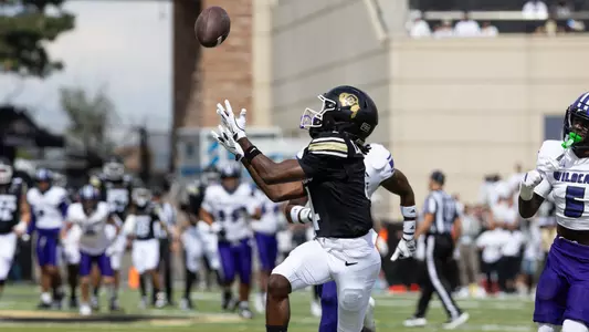 Touchdown Catch