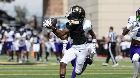 Touchdown Catch