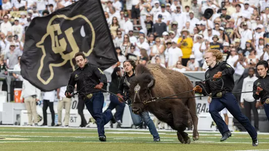 Ralphie Running