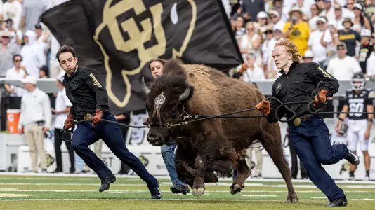 Ralphie Running