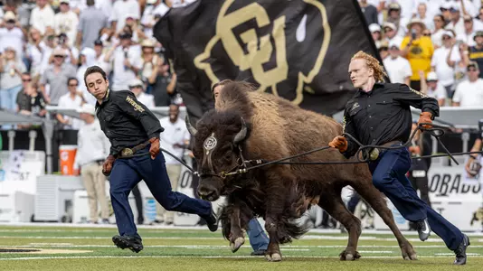 Ralphie Running