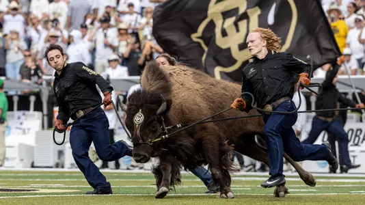 Ralphie Running