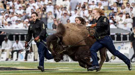 Ralphie Running
