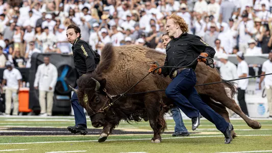 Ralphie Running