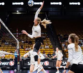 Cayla- Wichita State