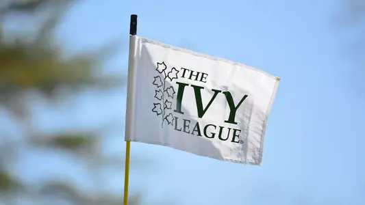 Ivy_Flag_Ivy16_Ivy.jpg