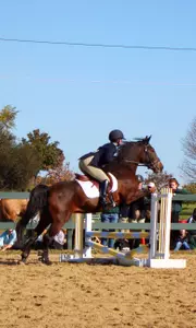 Dartmouth Equestrian Finishes Up Fall Season at UNH Show