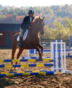 Dartmouth Equestrian Ties for First at Mt. Ida Show