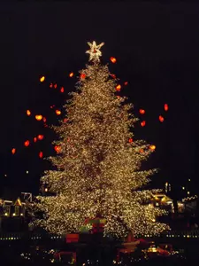 Dartmouth Men's Hockey Has Free Day, Explores Copenhagen