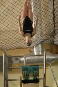 Dartmouth Women's Swimming and Diving Falls at Vermont