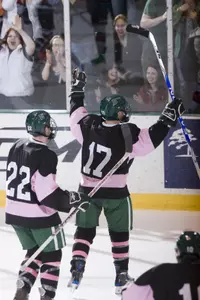 Dartmouth Men's Hockey Sweeps Princeton with a 2-0 Shutout