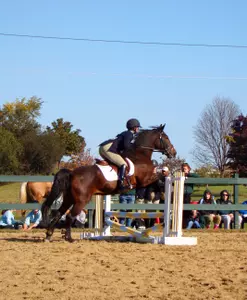 Dartmouth Equestrian Wins the Dartmouth Show