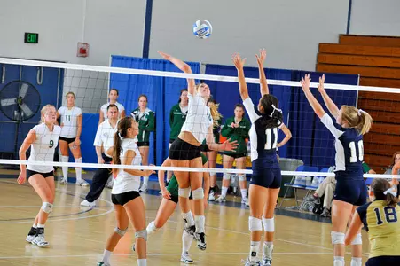 Dartmouth Volleyball Gets Tripped Up By Brown