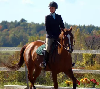 Spotlight on Samantha Parsons