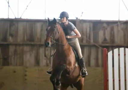 Dixon Top Rider as Equestrian Claims Second at Vermont Show