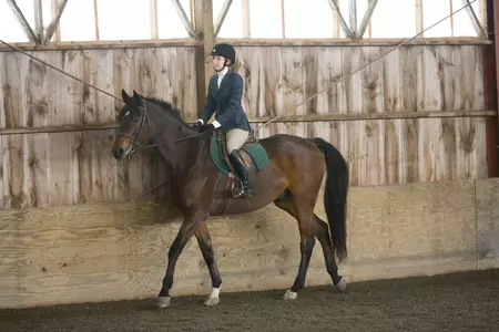Equestrian Takes Third at New Hampshire Show This Weekend