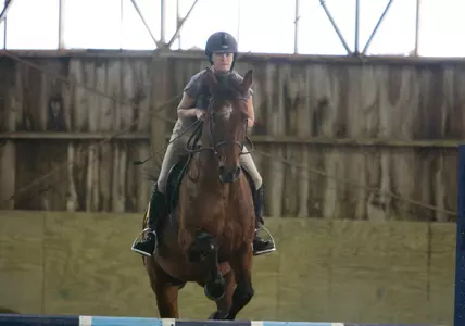 Big Green Equestrian Takes Third At Regional Show Saturday