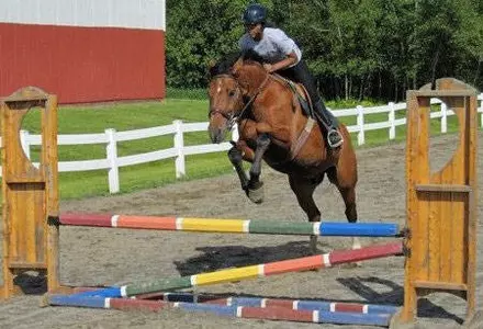 Equestrian Finishes Third at Ivy Championship